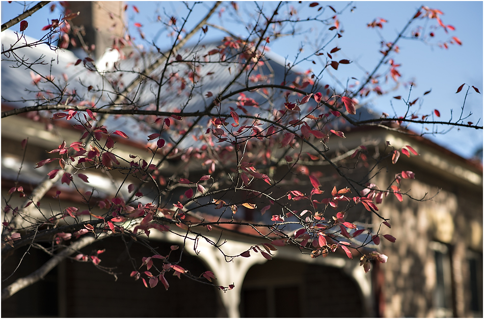 Angie Duncan Photography